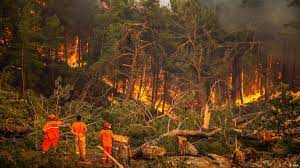 تصویر آتش سوزی در جنگل گلستان،قوشه چشمه